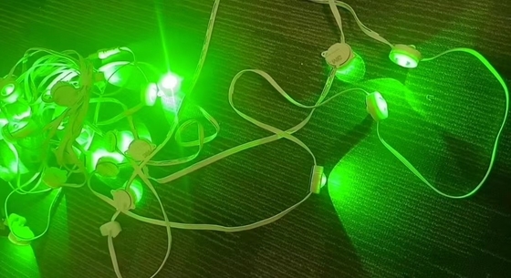 In- en buitenversiering LED-streng hangend licht met kleurveranderend 100M lengte