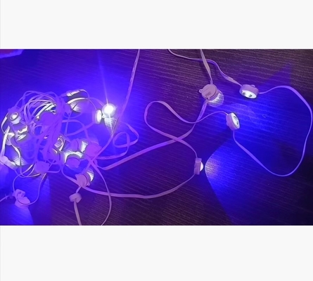 In- en buitenversiering LED-streng hangend licht met kleurveranderend 100M lengte
