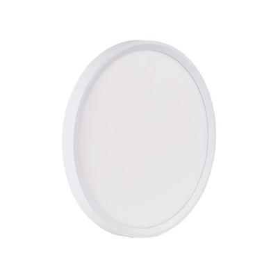 40000 uur werktijd Smart 18w Dimmable LED Plafondlamp voor moderne hotelkamers