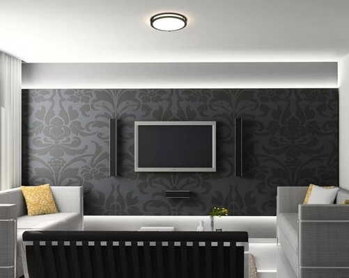 Modern Design 14 inch 21W 5CCT LED Double Ring Ceiling Light CL-B1425 met DIY Functie