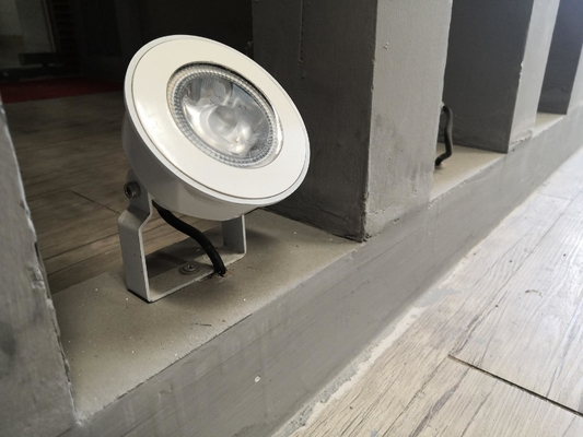 Buiten 3W/5W/6W/9W/12W/18W/24W LED Spike Garden Light met 15000 uur levensduur