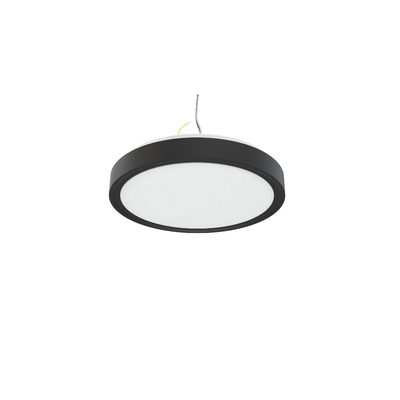 IP44 10 inch 15W C1015 LED Single Ring Integrated Ceiling Light voor en aanpassing
