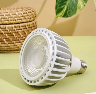LED Plant Grow Lighting 20W LEDPAR30 met 85V-265V Input Voltage en ander basistype