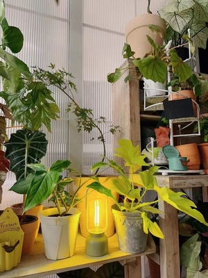 80 Ra artistieke geschenken muggenwerend licht voor nachtlicht festival en tafellamp