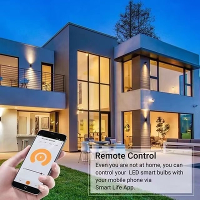 2200K-6500K Kleurveranderende gloeilamp met draadloos Bluetooth en TUYA APP-besturing