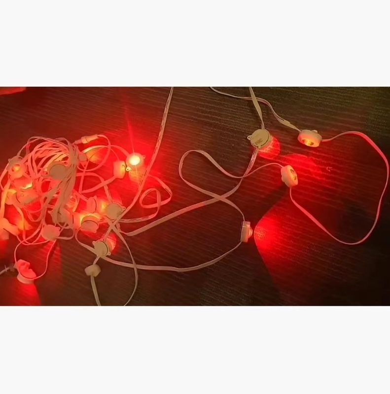 In- en buitenversiering LED-streng hangend licht met kleurveranderend 100M lengte