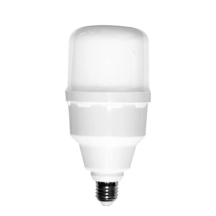 Direct huisverlichting T120 T100 LED High Power T Bulb met handknop