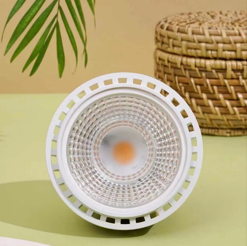 LED Plant Grow Lighting 20W LEDPAR30 met 85V-265V Input Voltage en ander basistype